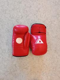 colpitori boxe professionali 