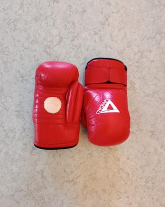 colpitori boxe professionali 