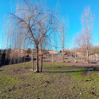 Casa singola con giardino e piscina