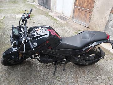 MBP 502N 2023  Gruppo Keeway