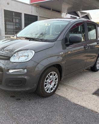 FIAT Hybrid Panda 1.0