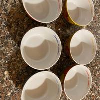 Egan Campo di cuori porcellana set 6 ciotole