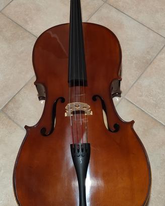 violoncello VC 900 misura 4/4