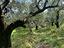 Immagine 17