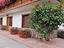 Immagine 9