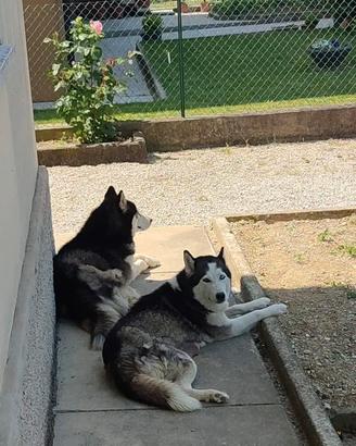 Una nuova famiglia per Jacob e Kira