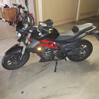 Benelli bn302 2018