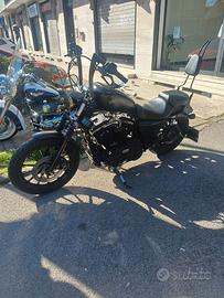 harley davidson iron 2015