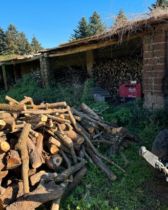 Legna da ardere