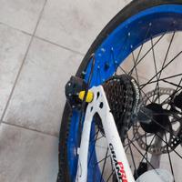 Bici FAT Bike usata