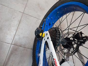 Bici FAT Bike usata