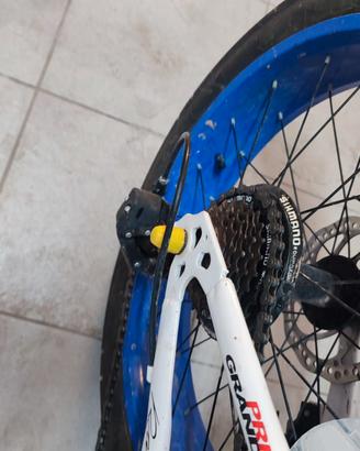 Bici FAT Bike usata