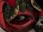 Immagine 4