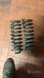 Molle sospensione post mercedes classe c anno 2004