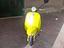 Immagine 1