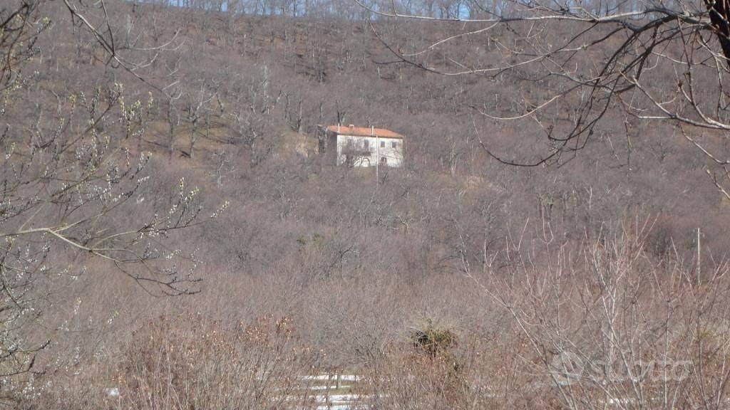 Terreno di 80000 m² a Roccamonfina - Vista 4