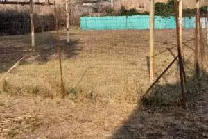 Terreno, Mondragone "DOMIZIANA"