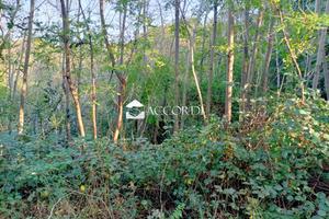 Rif.BL9| terreno agricolo volpago del montello