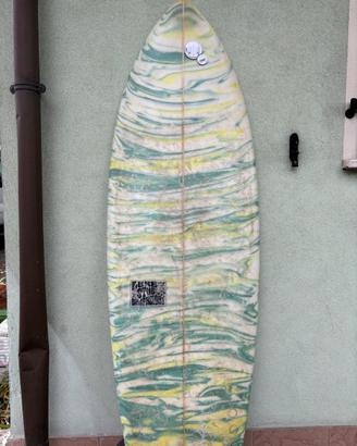 Fish twin surfboard surf
