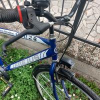 Bicicletta adulti come nuova
