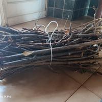 fascetti per accendi fuoco, barbecue,braceri ,forn