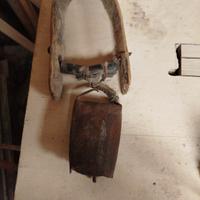 campanaccio   antico per pecore