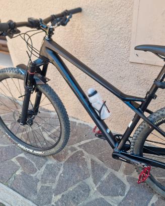 Mtb front gt Zaskar carbon