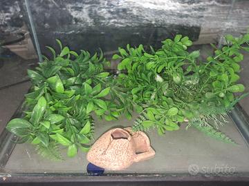 Acquario con cascata