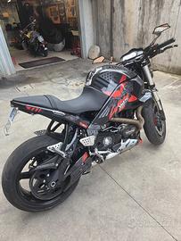 Buel xb12