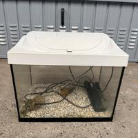 Acquario tetra 30 lt