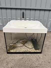 Acquario tetra 30 lt