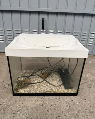 Acquario tetra 30 lt