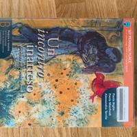 UN INCONTRO INATTESO B