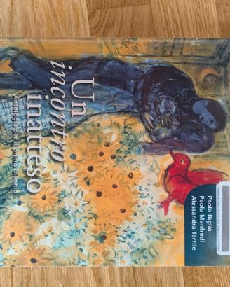 UN INCONTRO INATTESO B