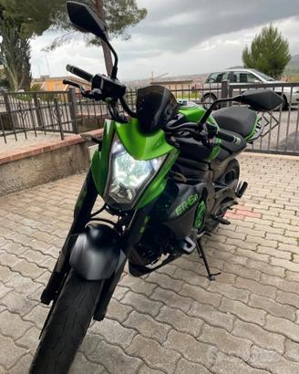Kawasaki Er6n