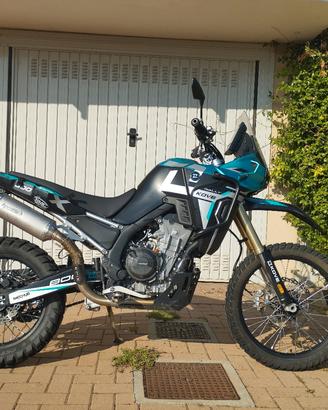 kove 800x rally