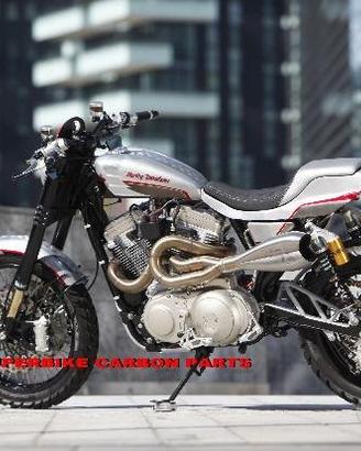Harley davidson sportster forcelle ohlins speciali