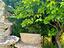 Immagine 27