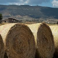 Rotoballe loietto trifoglio