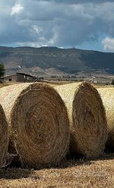 Rotoballe loietto trifoglio