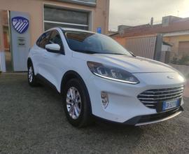 Ford Kuga 1.5 EcoBlue 120 CV 2WD Titanium