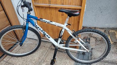 bicicletta ragazzo