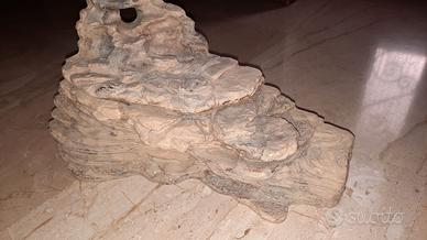 Isola per tartarughe