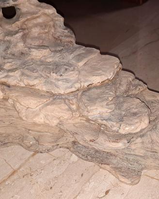 Isola per tartarughe