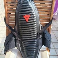 paraschiena tartaruga dainese motociclistica