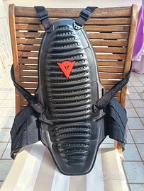paraschiena tartaruga dainese motociclistica