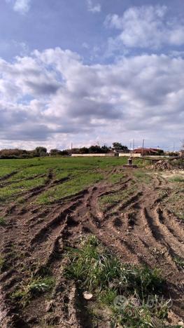 Terreno agricolo