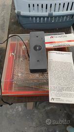 incubatrice per uova 