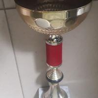 trofeo sportivo tipo coppa