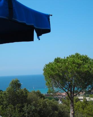 DAL 8/8 AL 16/8 PROCCHIO ISOLA d'ELBA TOSCANA